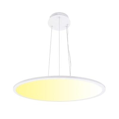 China D1200MM Large 75W Industrial Modern Round TDC Panel Light Fashion TDC Dimmable Smart LED Outdoor Round Panel Light for sale