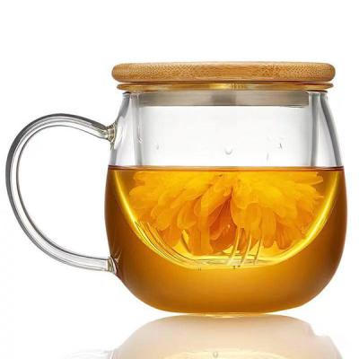 China Sustainable New Mouthblown Custom Double Wall Glass Mug with Infuser and Lid for sale