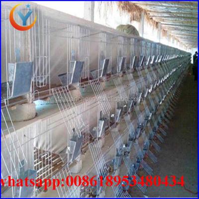 China Farms Industrial Cage For Rabbit Mat Welded Rabbit Cage Wire Mesh for sale