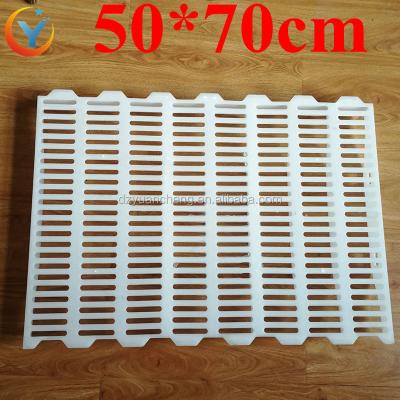 China Anti-Corrosion Hard Plastic Pig Slats Pig Bed Plastic Floor Slat Type For Pigs 50*70cm for sale