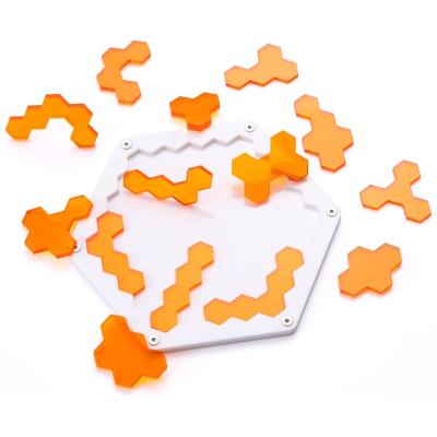 China Toy Wholesale Custom Printing Clear Educational Acrylic Puzzle Toys Extremely Hard Puzzle For Adults Kids Brain Teaser for sale