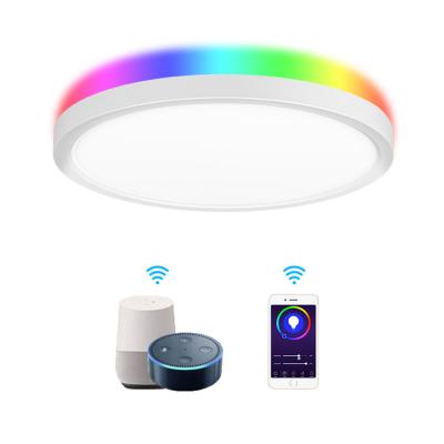 China 100-240Vac 24W Modern WIFI Smart 4W RGB WIFI Smart LED Ceiling Light Outdoor Work With Tuya Google Amazon Alexa Assistant for sale