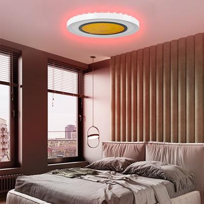 China Chixiong Outdoor Mounted Round Modern RGB Smart Ceiling Light With Remote Control Bedroom Led Ceiling Panel Light for sale