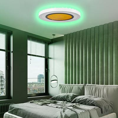 China Chixiong Outdoor Mounted RGB Backlight Remote Control LED Ceiling Light Ultra Bright Indoor Flat Panel Ceiling Light for sale