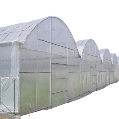 China Stable Structure Easily Assembled Easy To Assemble Mongolia Systems Greenhouse Indoor Hydroponic Plastic Film Frame High Quality Earth for sale