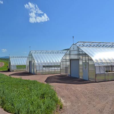 China Skyplant Waterproof Commercial Plastic Sheet Tunnel Metal Steel Frame Greenhouse For Vegetables for sale