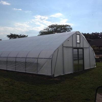 China Skyplant Anti Aging Economical Single Span 200 Micron High Poly Film Tunnel Greenhouse For Vegetable for sale