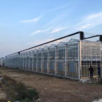 China Flower Planting Skyplant Venlo Type Indoor Glass Greenhouse Agricultural Glass Greenhouse Glass Greenhouse for sale