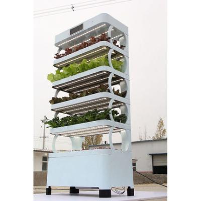 China Garden Indoor Planting Hydroponic System For Leafy Vegetable Growing System for sale