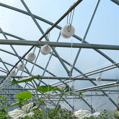 China Save Skyplant Tomato Roller Work Hook From Greenhouse For Support Grow for sale