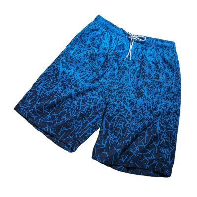 China 2022 New Summer QUICK DRY Pairs Shorts Beach Casual Pants Quick Dry Shorts Men Printed Big Digital Shorts for sale