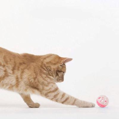 China Cats pet cat products spherical bell sounding kittens like to play with cat toys two color plastic hollow ball bell ball for sale