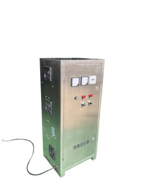 China Home Electric Ozone Water Generator 10-1000 Mg/H for sale