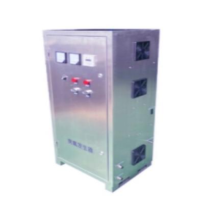 China High Performance Ozone Water Generator For Air And Water Treatment System for sale