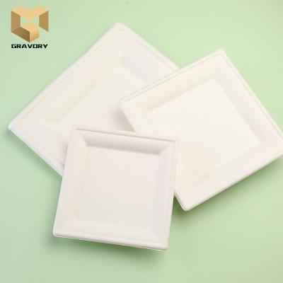 China Disposable top selling square sugarcane fiber paper plate sugar cane shape wholesale takeout dish for sale