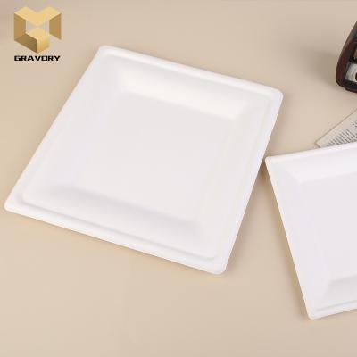 China Disposable Custom Printed Compostable Disposable Dishes Biodegradable Square Disposable Dishes for sale