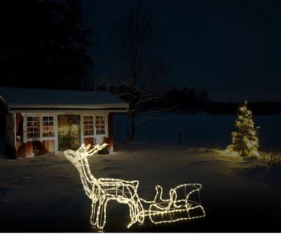 China Reindeer hose light.Christmas lights.Christmas lights graphics.Indoor and outdoor for sale