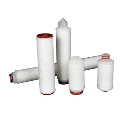 China Lance Food Grade Multi Pleated 0.1 0.2 Micron Membrane 10