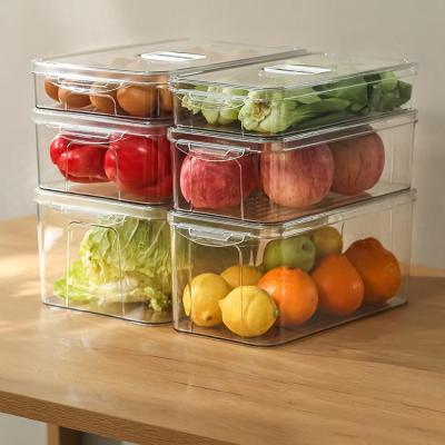 China Freshness Preservation Food Storage Containers Set Fridge Freezer Box Cajas Plastico Plastic Fridge Storage Containers With Handle for sale