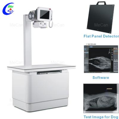 China Small And Large Animal Veterinary Digital X-ray Equipment for sale