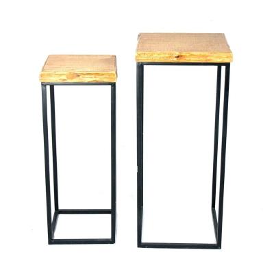 China Modern Home Decoration IVYDECO Indoor Modern Nesting Set Of 2 Seater Metal Wood Flower Plant Table Stand for sale