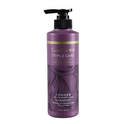 Chine Emballage cosmétique 500 ml Bouteille de pompe de shampooing violet OEM/ODM Disponible à vendre