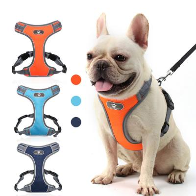 China Outdoor Custom Made Different Designer Strong Pet Cat Dog DETACHED Port Size Leash and Harness Set for sale