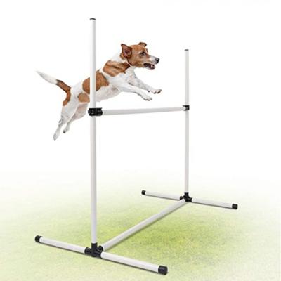 China Stocked Outdoor Wearing Dog Agility Training Equipment Set For Dogs for sale