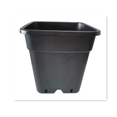 China Modern plastic square 2 gallon pots wholesale for sale