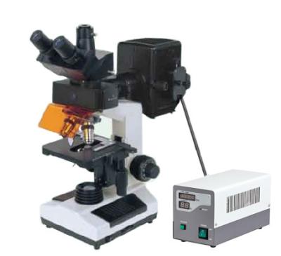 China Economic and Affordable price biological Epi Fluorescent microscope for sale