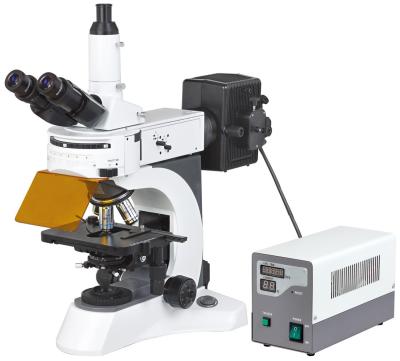 China LBM800F The Professional Epi-Fluorescence Microscope for lab infinite Optical System/Upright fluoresent microscope for sale