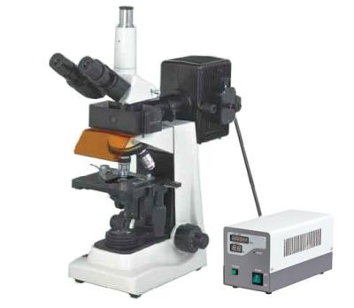 China BM400F Cost efficient Trinocular Epi Fluorescence Microscope/Fluorescent microscopy for sale