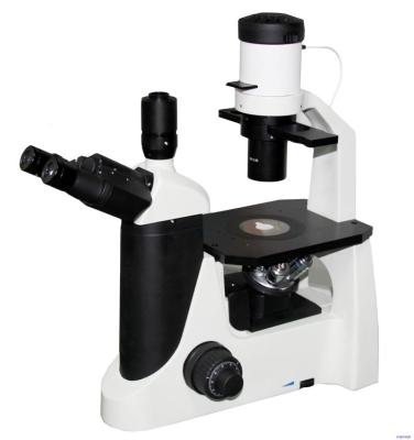 China IB200 Biological Inverted Microscopy for Lliving Cells Observation/ Tissue Culture Mikroskop for sale