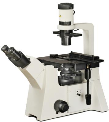 China IB500 Professional Inverted Phase Contrast live Cell Microscope For examining cultured specimens for sale