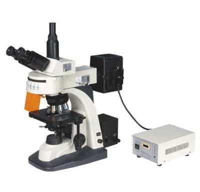 China 606Y B.G.U.V. Exicting Fiter Trinocular Epi-fluorescent Laboratory Microscope/best affordable fluorescence microscopy for sale