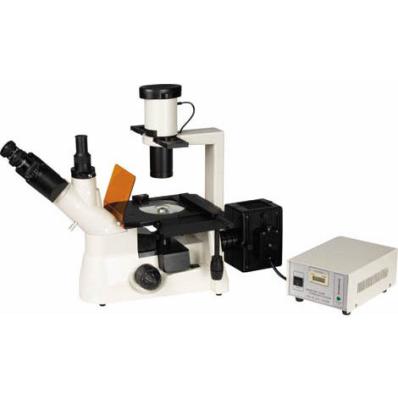 China Trinocular Biological Inverted Fluorescence Compound Microscope for sale