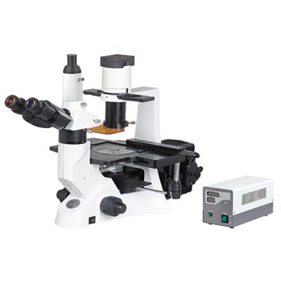 China IB100F Laboratory Inverted Tissue Culture Fluorescence Microscopy/Inverse Fluorescence research & hospital  Microscope for sale