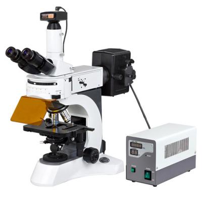 China 9.0 MP Camera Digital Epi Fluorescent Microscopy for Disease Examination/Upright fluorescence microscope for sale