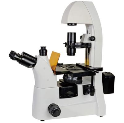 China IB412F Long Working Distance B. G. U. V. Excitation System Inverted LED Excitation Fluorescent Microscope for sale