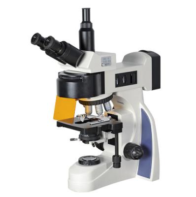 China BM700F Professional Lab Research 5 Wave Bands B. G. U. V. BV Upright LED Excitation Fluorescence Microscope for sale