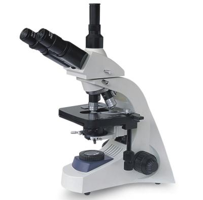 China High powered laboratory BM148T Excellent Versatile Binocular Compound Biological Microscope for educators/ medical /lab for sale