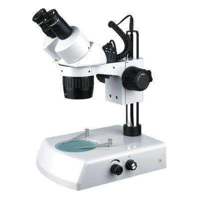 China XT24B2 20X/40X magnification binocular student stereo microscope with dual light /dissecting 3D mikroskop for sale