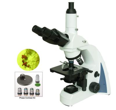 China BM300PHT Best Quality Trinocular phase contrast microscope for living cells&d transparent cells/bacteria microscopy for sale