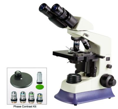 China BM180PHB Excellent compoun binocular brightfield&phase contrast microscope/phase contrast microscopio for sale