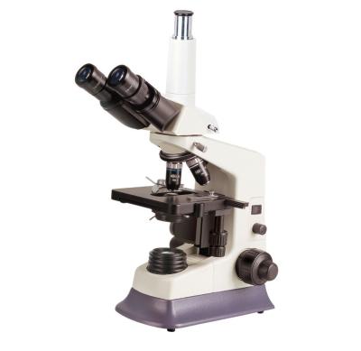 China China Good quality BM180T Trinocular head laboratory biological Microscopes/Multi purpose Biology Microscopy for medical for sale