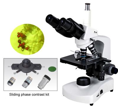 China BM117PHT  Cheap price entry level compound light sliding phase contrast microscopes/ bacteria phase mikroskop for sale