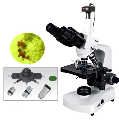 China China best BM117PHT with 3.0MP   high quality sliding phase contract culture biological microscope with digital camera for sale