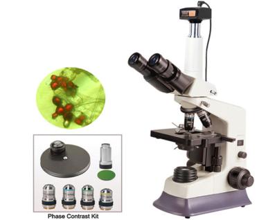 China ChinaBM180PHTtrinocular microscope+3.0MP digital camera turret phase contrast mikroskopio for studying live blood cells for sale