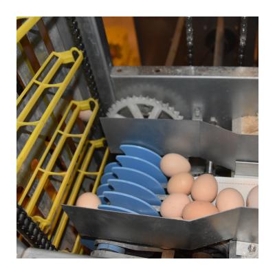 China Poultry Farm Full Automatic Cage Equipment Poultry Layer Chicken Cage Equipment Automatic Poultry Layer Cage for sale