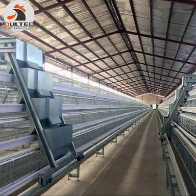 China Farms Chicken Cage Layer Cage Egg Hen Cage For Poultry Farm for sale